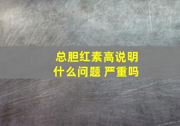 总胆红素高说明什么问题 严重吗